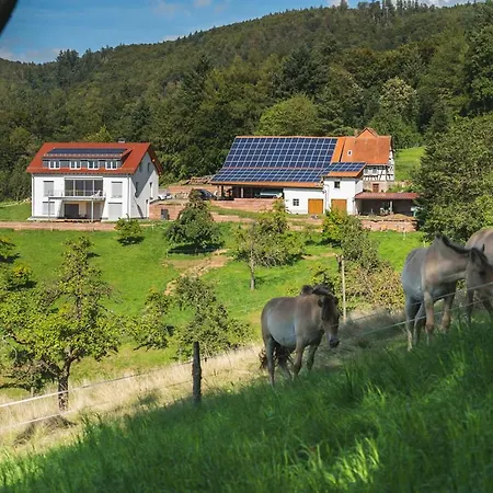 Ferienwohnung Gruenewaldhof In Rimbach Im Odenwald Exterior foto
