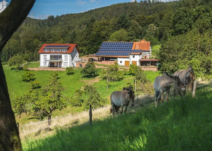 Gruenewaldhof In Rimbach Im Odenwald