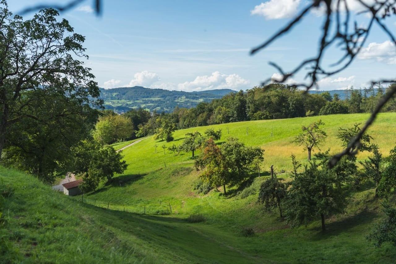 Apartment Gruenewaldhof In Rimbach Im Odenwald Rimbach (Hessen)