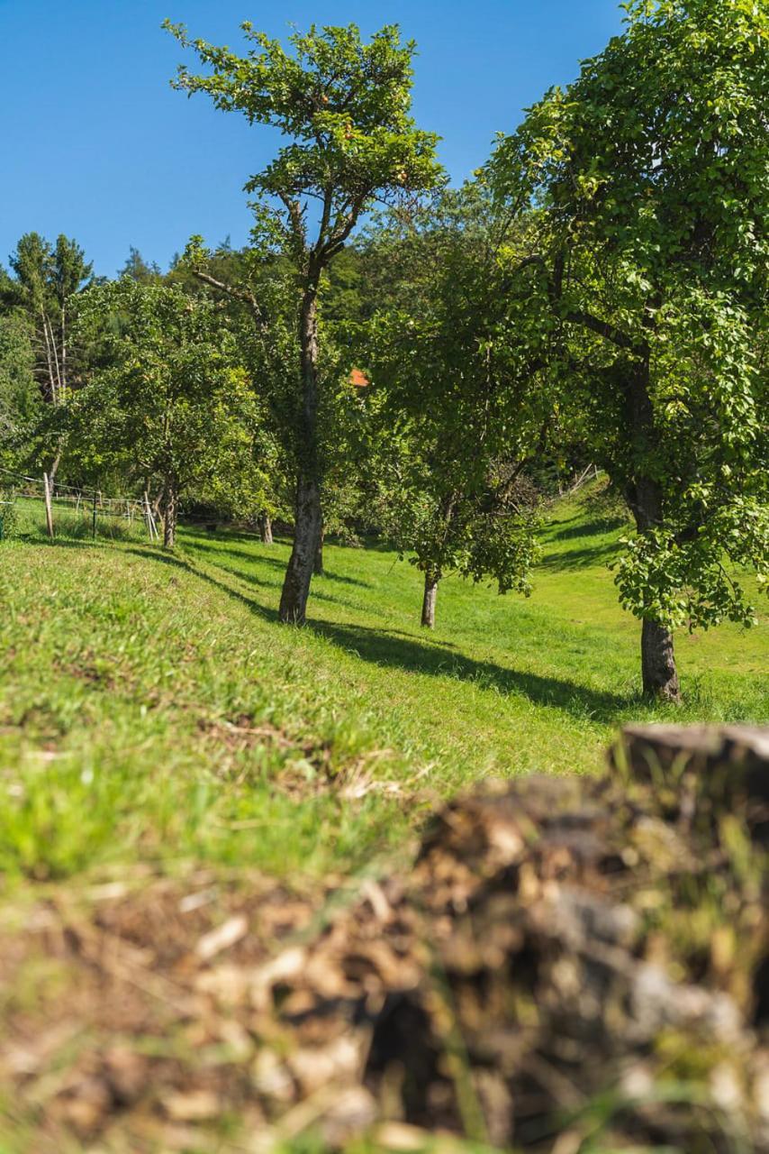 Gruenewaldhof In Rimbach Im Odenwald * Rimbach (Hessen)