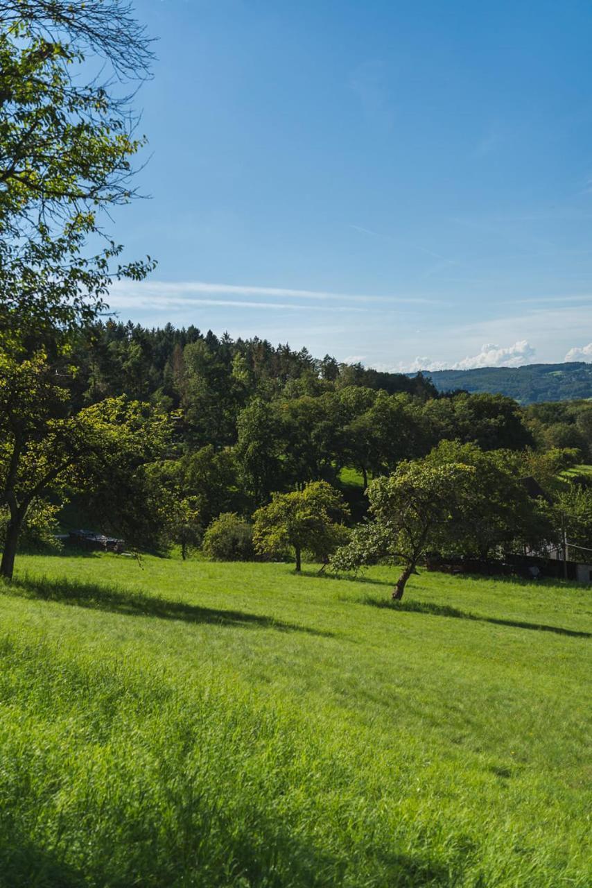 Gruenewaldhof In Rimbach Im Odenwald Apartment Rimbach (Hessen)