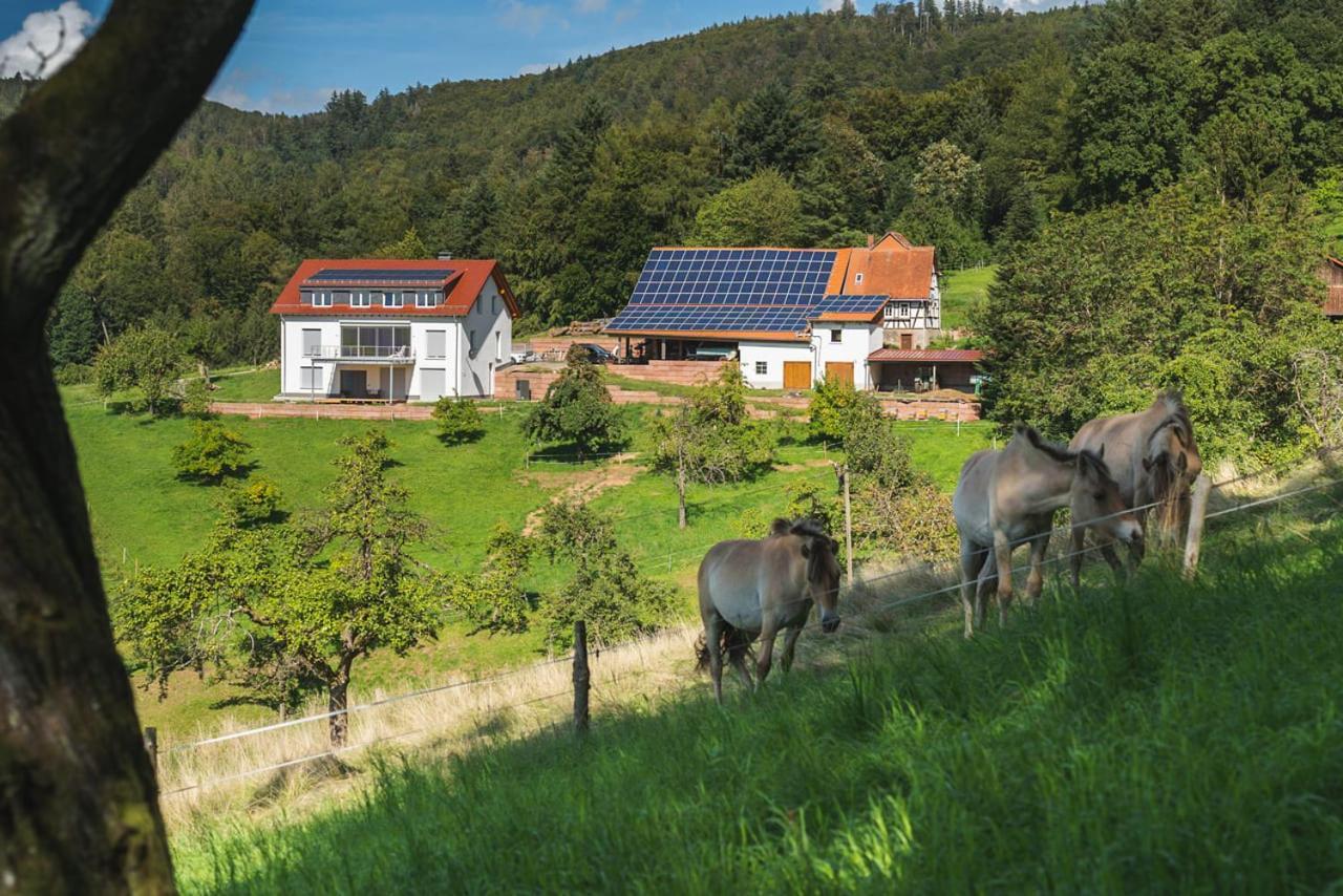 Apartment Gruenewaldhof In Rimbach Im Odenwald