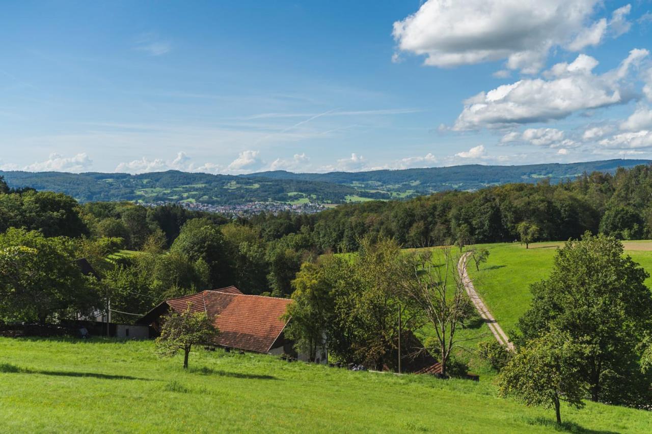 Gruenewaldhof In Rimbach Im Odenwald Apartment *