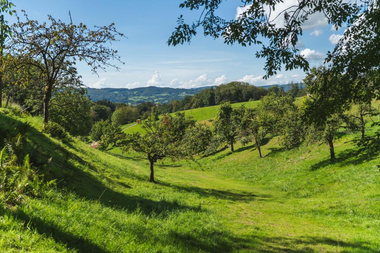 Apartment Gruenewaldhof In Rimbach Im Odenwald *
